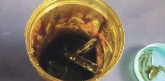 hashish oil in Thrissur