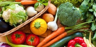 Vegetarianism