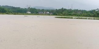 Maharashtra rains