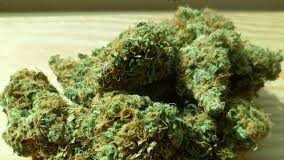 Ganja hunt
