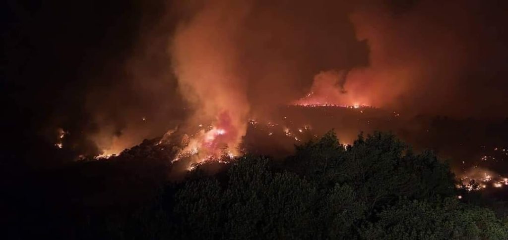 Wildfires in Algeria; 26 people were burned to death 1 Wildfires in Algeria