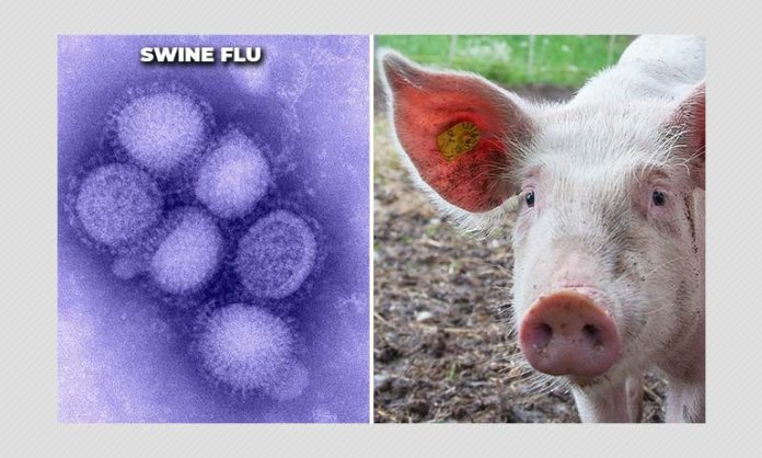 Swine flu