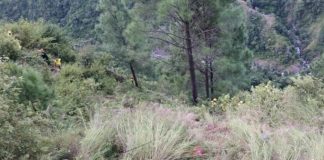 Uttarakhand