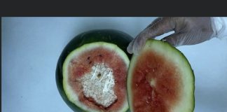 drugs in watermelons