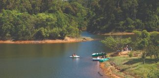 gavi kerala