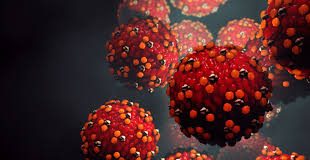 Measles outbreak