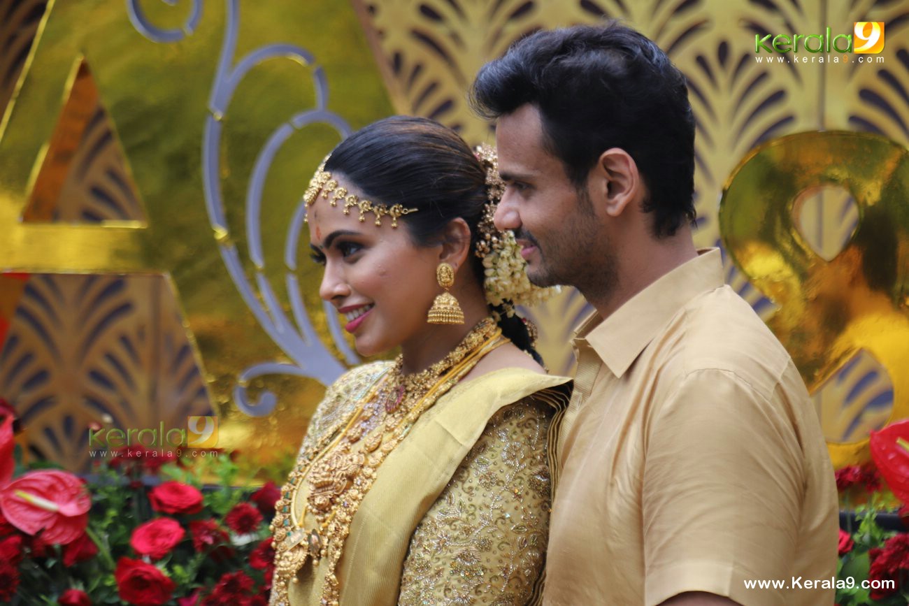 T S Kalyanaraman at Vishak Subramaniam Wedding Photos 005