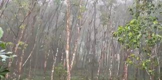 Kerala Monsoon 2026: Southwest Monsoon To Hit Kerala By June 4, IMD Issues Heavy Rainfall Alert | Kerala Monsoon Entry June 4, Heavy Rainfall Warning, Cyclonic Circulation, IMD Weather Update Kerala Rain kerala rain