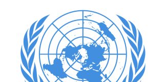 UN Economic and Social Council