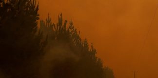 Wildfires in Chile