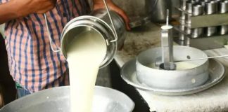 milk