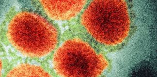 H3N2