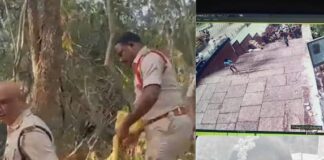 leopard attack Tirupati