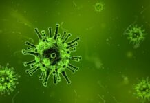 Nipah Virus Confirmed in Kerala’s Kozhikode; 40-Year-Old Tests Positive nipah