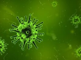 Nipah Virus Confirmed in Kerala’s Kozhikode; 40-Year-Old Tests Positive nipah