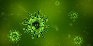 Nipah Virus Confirmed in Kerala’s Kozhikode; 40-Year-Old Tests Positive nipah