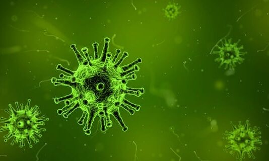 Nipah Virus Confirmed in Kerala’s Kozhikode; 40-Year-Old Tests Positive nipah