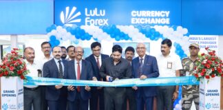 cial lulu forex