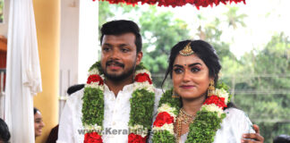 Haritha G Nair wedding