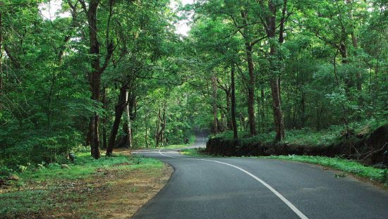 Vazhachal Malakkappara road