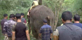 kumki vikram