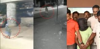 petta abduction 1