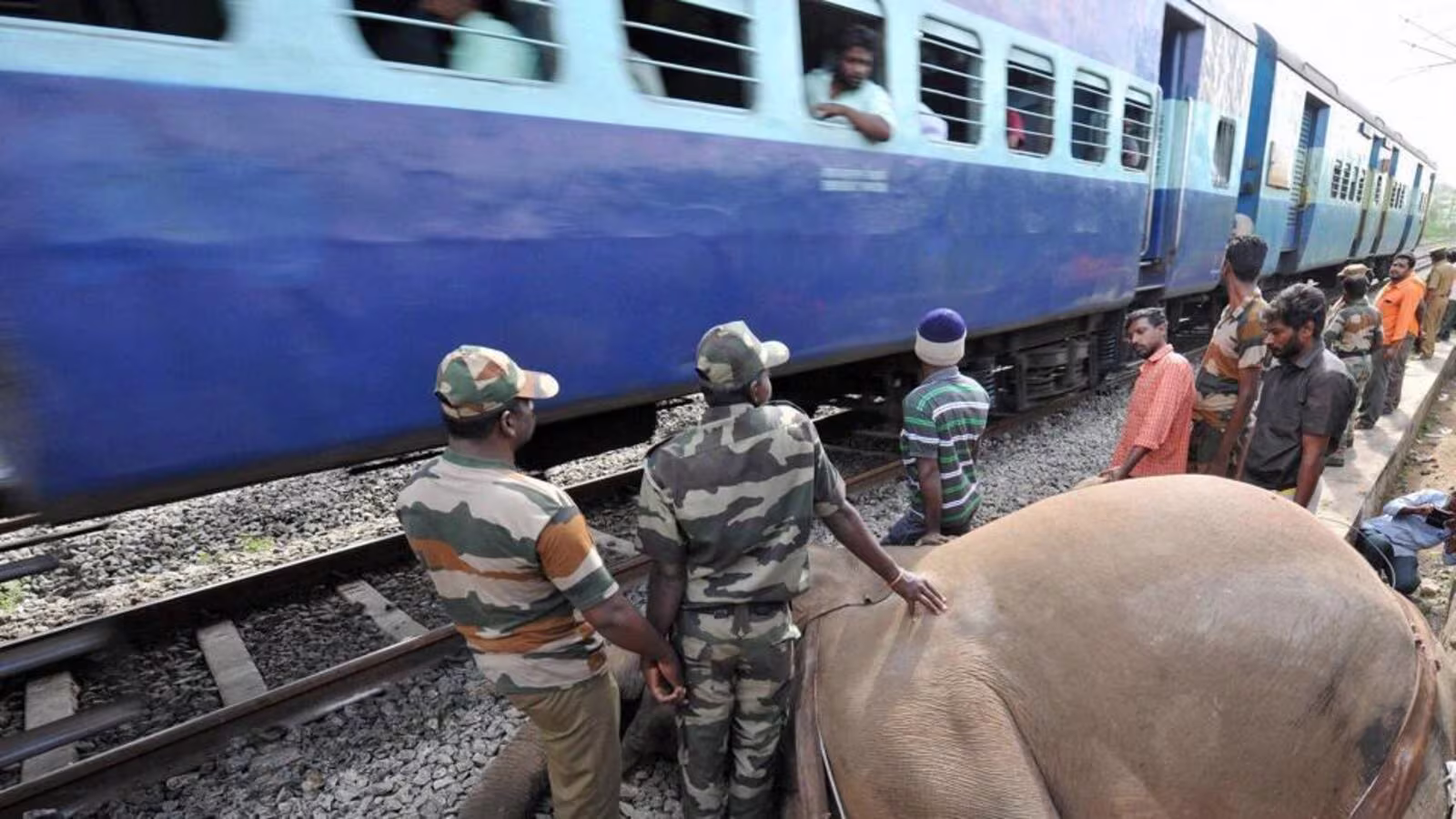 An elephant was hit by a train - Kerala9.com An elephant was hit by a train