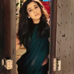 nayanthara in green chiffon saree with contrast sleeveless blouse photos 006