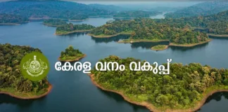kerala forest