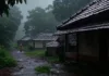 Kerala Monsoon 2025