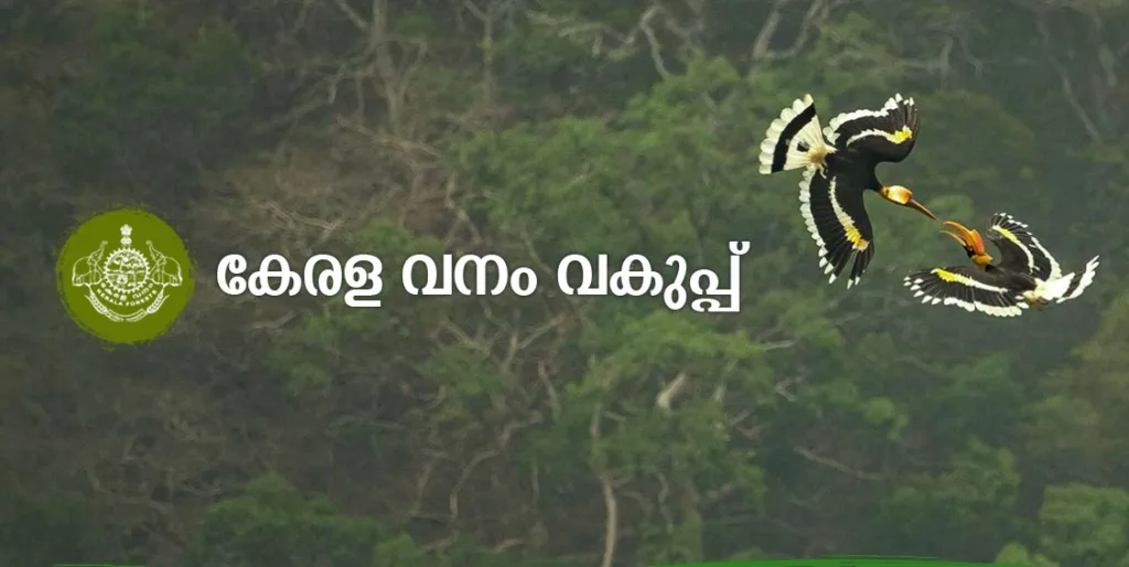 kerala forest