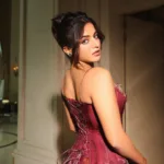 wamiqa gabbi in function wear dress style ideas photos