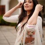 veena nandakumar photos in saree-010