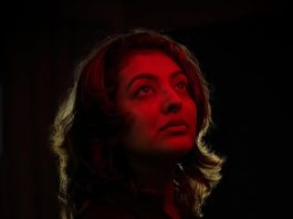 Durga Krishna