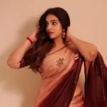 malavika c menon in saree two shade coffee colour latest photos 007