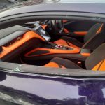 Kerala Lamborghini Crash photos (2)