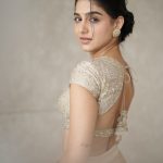 anaswara rajan new photoshoot picture-006