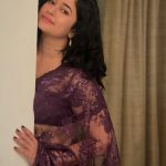 poonam bajwa in purple net saree photos-001