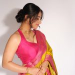 nayanthara chakravarthy in saree photos latest-012