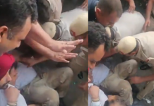High Drama in New Delhi: Rahul Gandhi Dragged, Detained Outside PM’s Residence; Congress MPs Arrested
