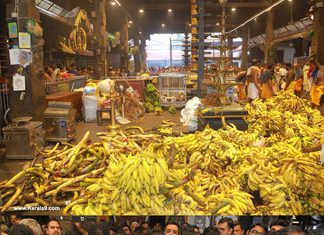 Devotees Offer ‘Kaazhchakula’ at Guruvayur Temple on Uthradam Day; Minister K. Muraleedharan Joins Celebrations guruvayur