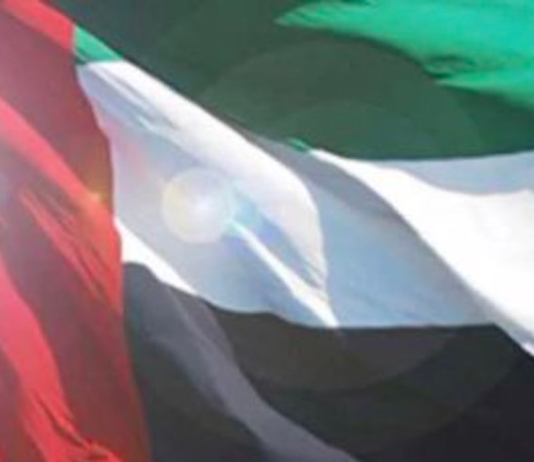 UAE Suspends All Trade and Financial Ties with Iran Following Missile Threat image