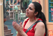 Rini Ann George biggboss