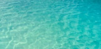 Nayantara nayanthara trending photos in maldives
