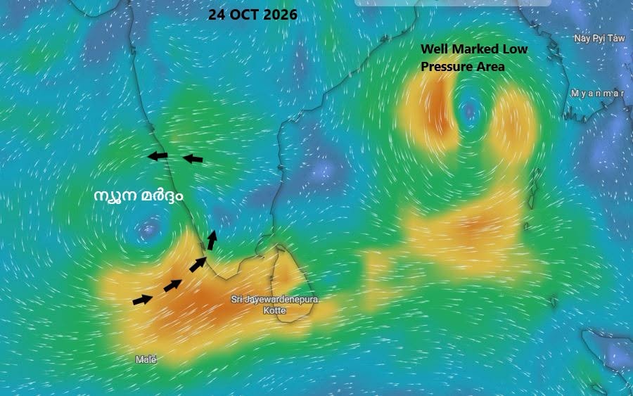 Kerala Weather Alert: Red Alert Issued for Heavy Rains, Depression over Arabian Sea & Cyclonic Storm Warning in Bay of Bengal kerala wearther update